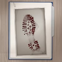 An image of an evidence folder containing a bloody shoe print
