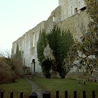 A photo of the Sankt Clemens ruin, covered in evergreen vines.