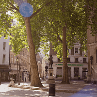 A man is sitting on the curb outside St Clement Danes Church, eating his lunch. It's a sunny day.