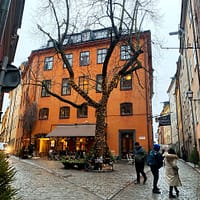 A large orange stone house iwith a bare tree in front of it