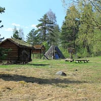 A cluster of Saami building structures in an open area in the woods. The buildings are built of wood and moss. The grass and surrounding trees are green and the sun is shining.