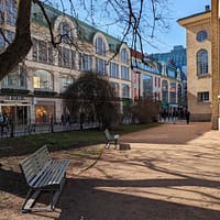 A photograph of a bench under a tree outside the Gothenburg cathedral. The bench is green and made of wood.