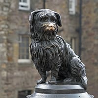 A photo of the Greyfriars Bobby statue. with its snout polished by people petting it over many years.