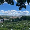 A photo of the view from Old Aker church cemetery. The whole of east Oslo is visible in the image, below a blue summer sky.