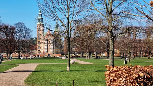 A photo of the Kongens have park in Copenhagen. Green grass lawns and bare trees against a clear blue sky.