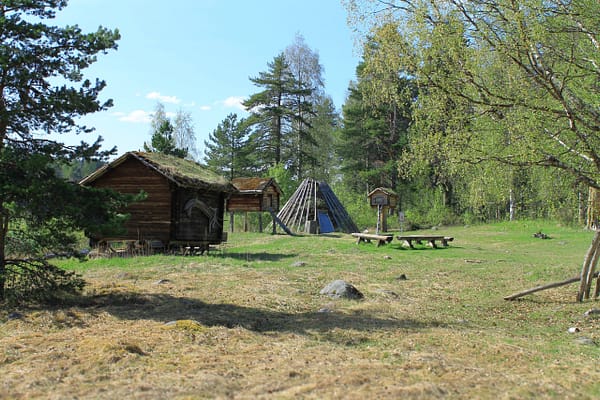 A cluster of Saami building structures in an open area in the woods. The buildings are built of wood and moss. The grass and surrounding trees are green and the sun is shining.