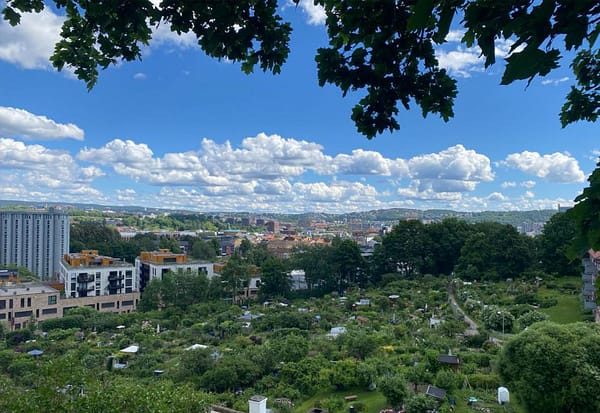 A photo of the view from Old Aker church cemetery. The whole of east Oslo is visible in the image, below a blue summer sky.