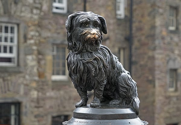 A photo of the Greyfriars Bobby statue. with its snout polished by people petting it over many years.