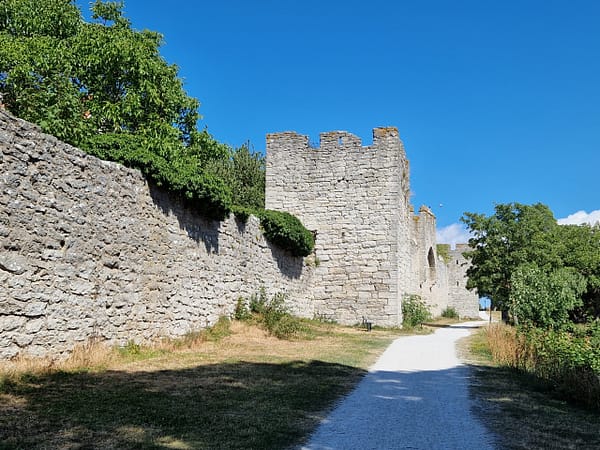 A photograpgh of the Visby city wall on a clear summer day.